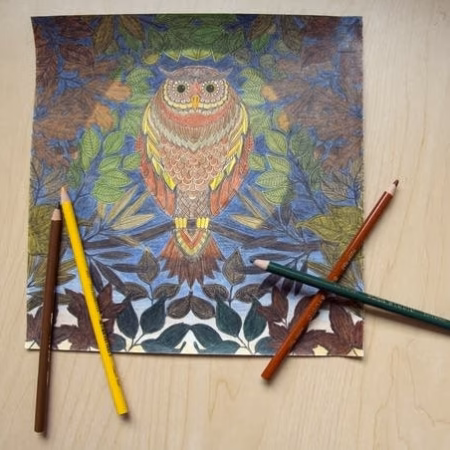 adult coloring books